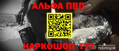 ECSTASY Заволжье